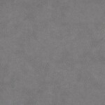 Invictus 5393