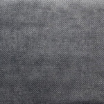 Parma 14
